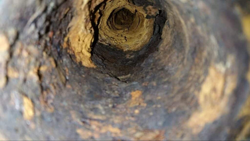 Inside a weathered pipe, showcasing rustic textures and natural decay.