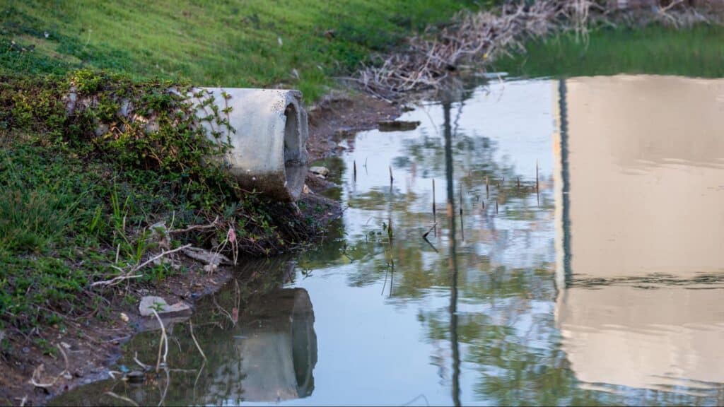 Storm drain outlet near reflective water with grass and vegetation surrounding it.