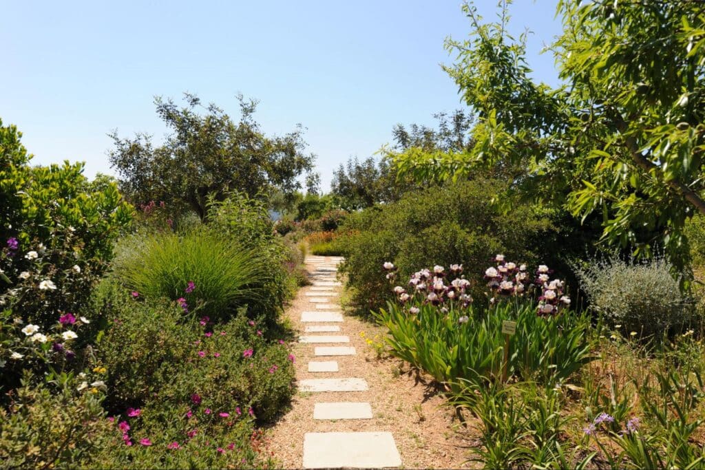 Serene pathway winding through a colorful flower garden under clear blue skies.