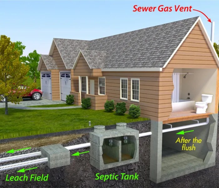 Illustration of house with a septic system. Visible are bathroom, septic tank, leach field, and sewer gas vent, depicting wastewater flow.